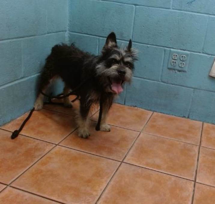 Photo of GORDA