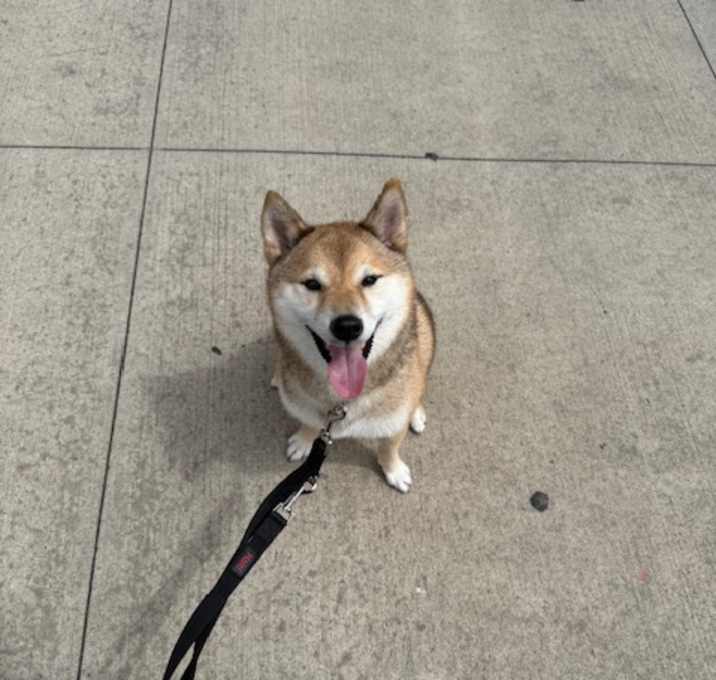 Photo of Aki