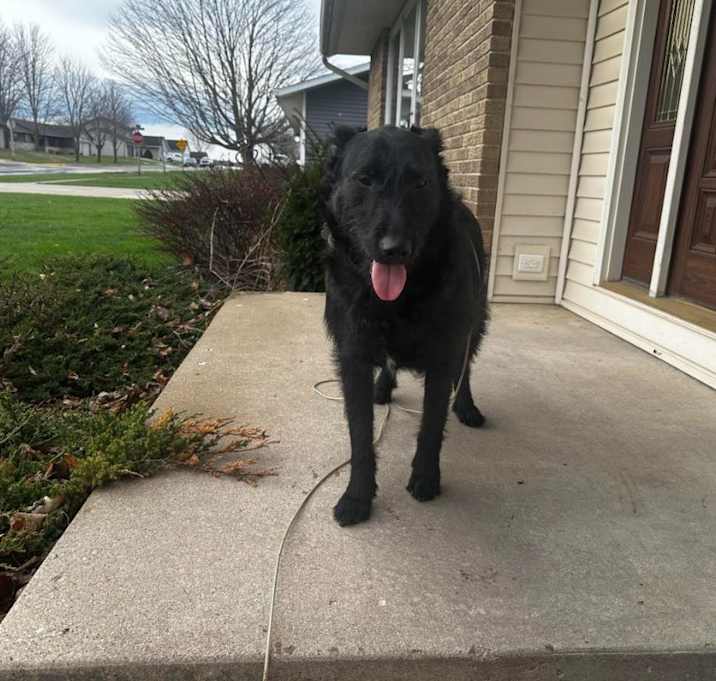 Photo of Buster