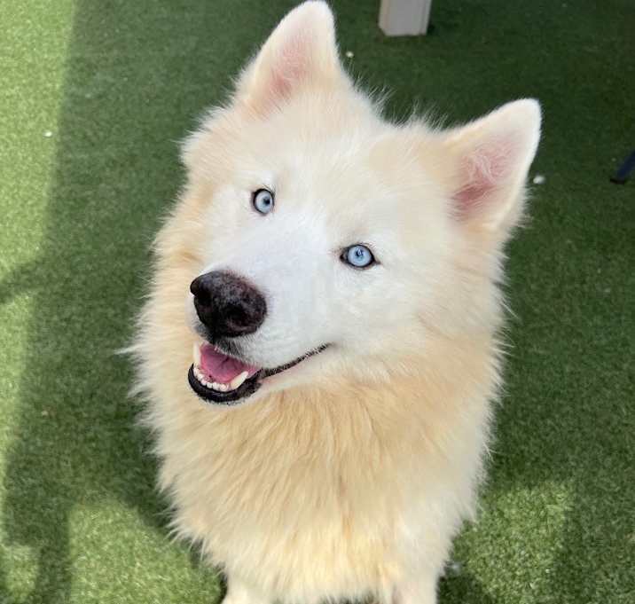 Photo of Nick