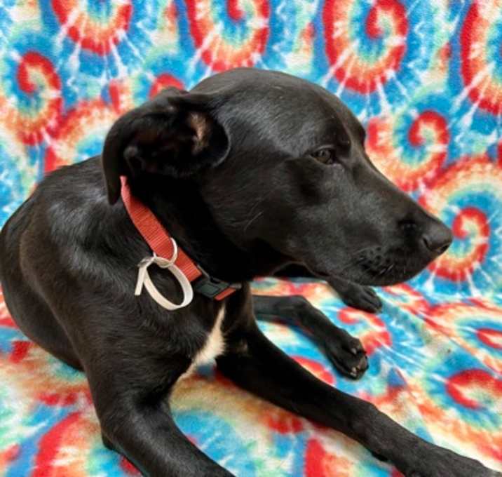 Photo of Fury