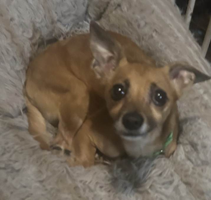 Photo of Nino