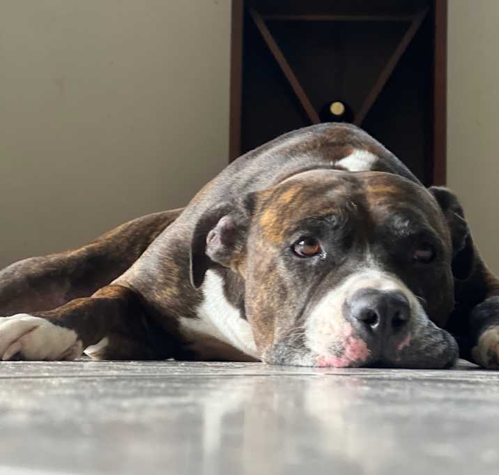 Photo of Max