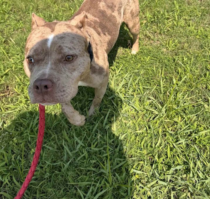 Photo of Roxie