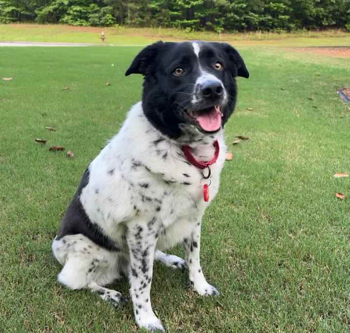 Photo of Jack