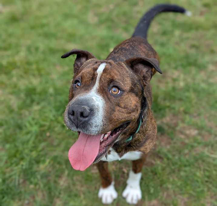 Photo of Dorothy