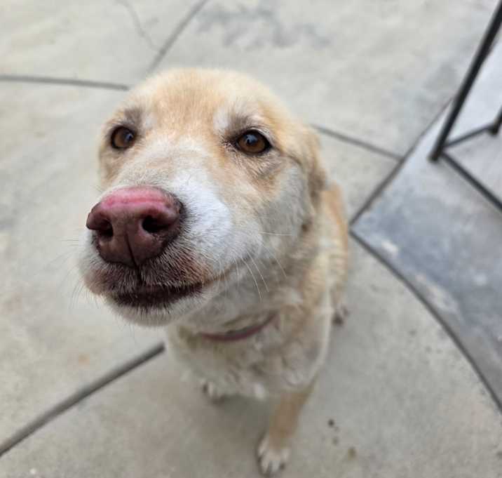 Photo of Cali