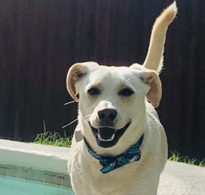 Photo of Jenny