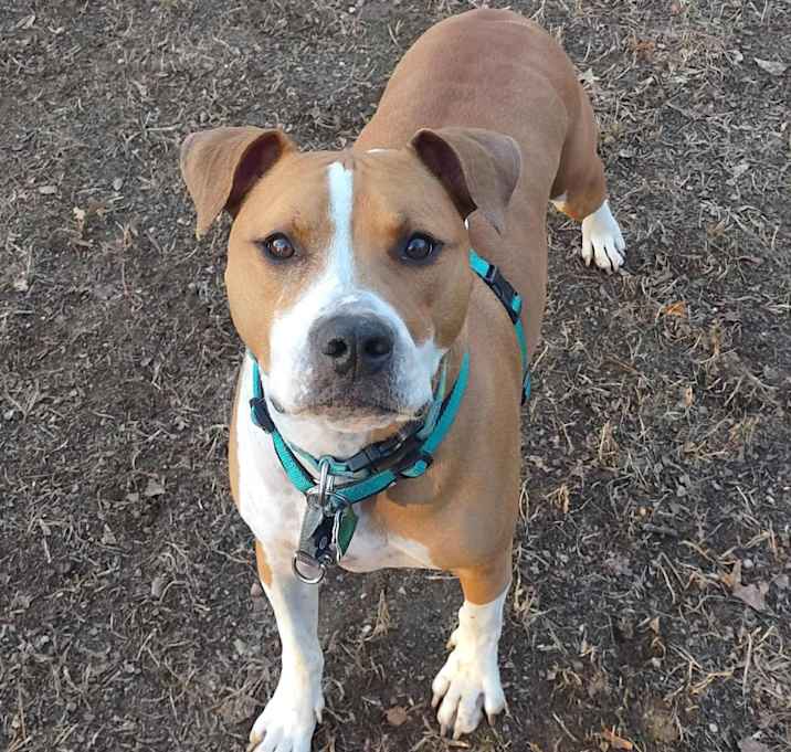 Photo of CANELA  SIMON/courtesy post