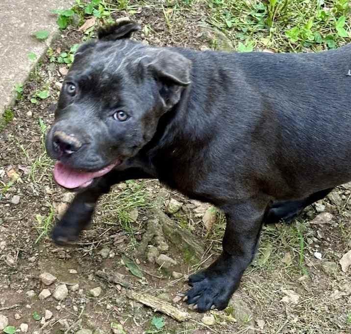 Photo of Baby Girl