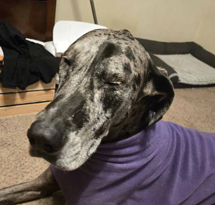 Photo of Chevy