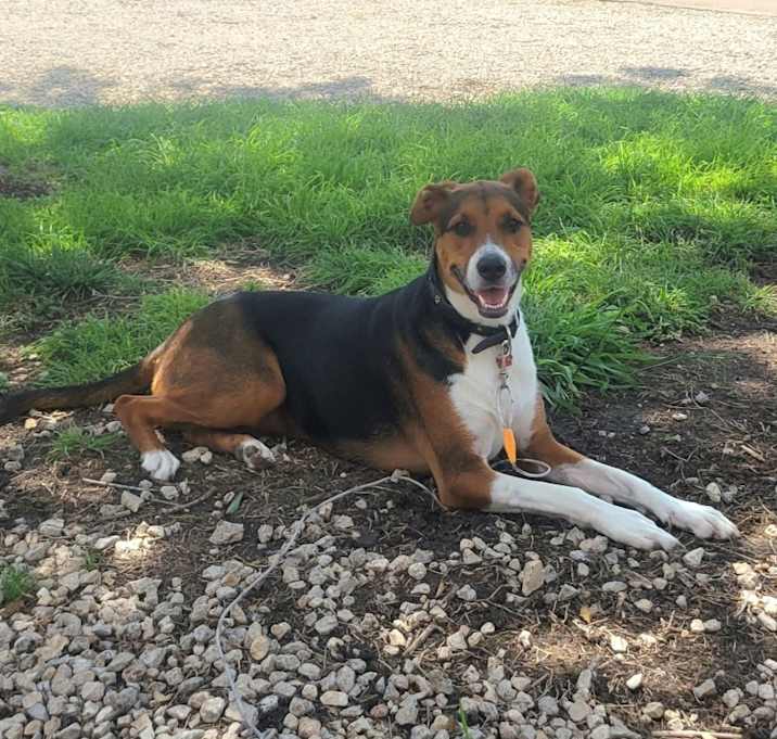 Photo of Libby