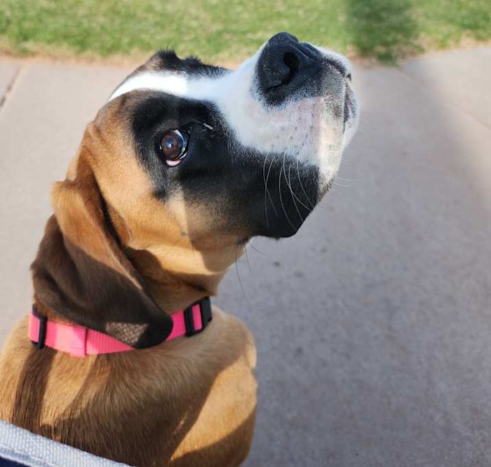 Photo of Lexie