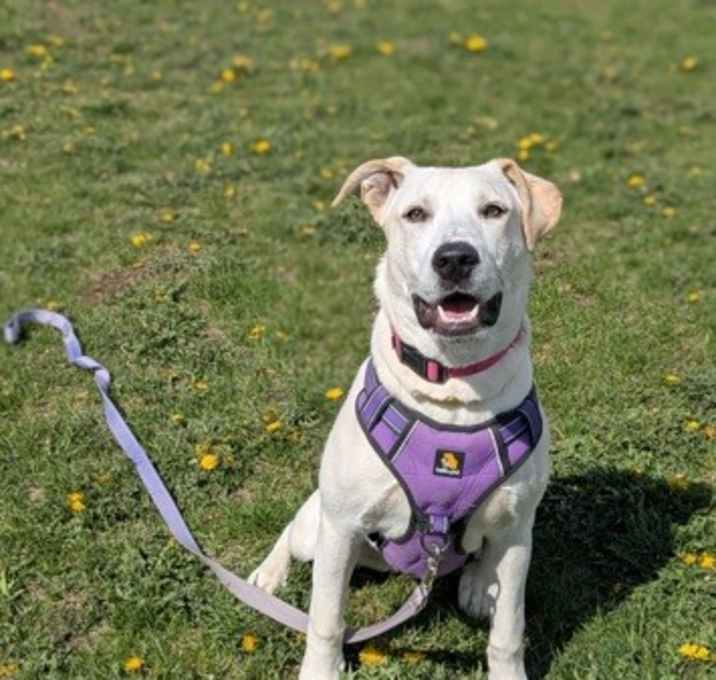 Photo of Lilith