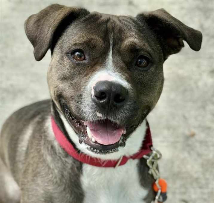 Photo of AQUA