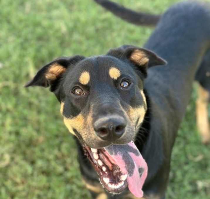 Photo of Oakley