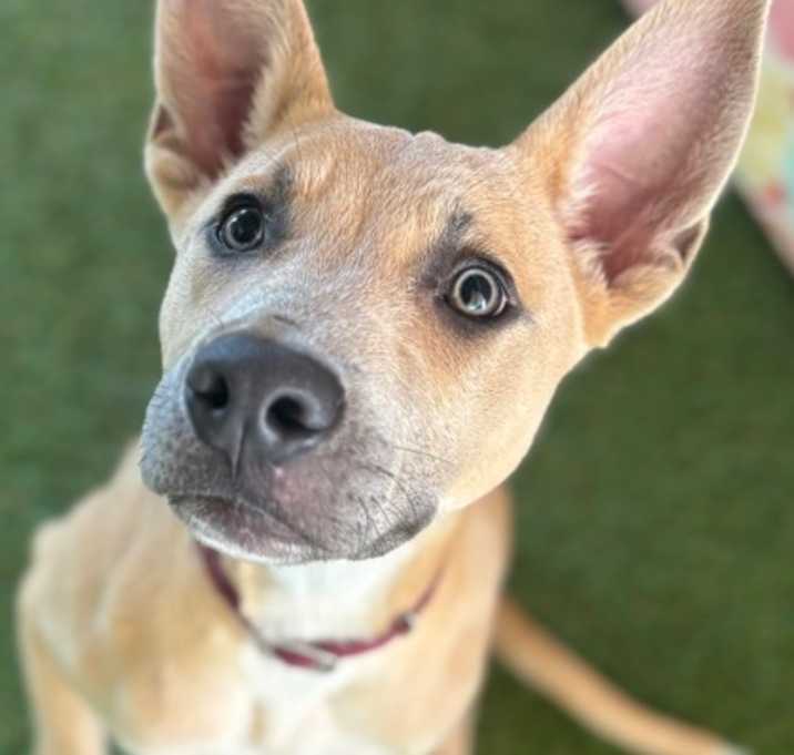 Photo of Bingo