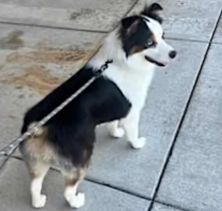 Photo of Ghost