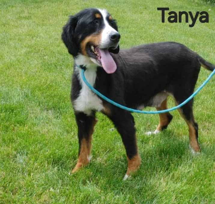 Photo of TANYA