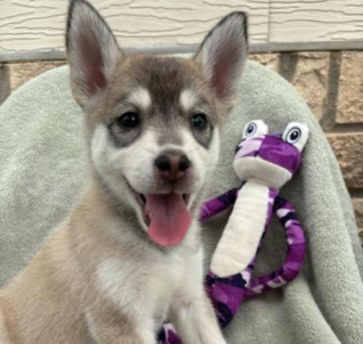 Photo of Maya