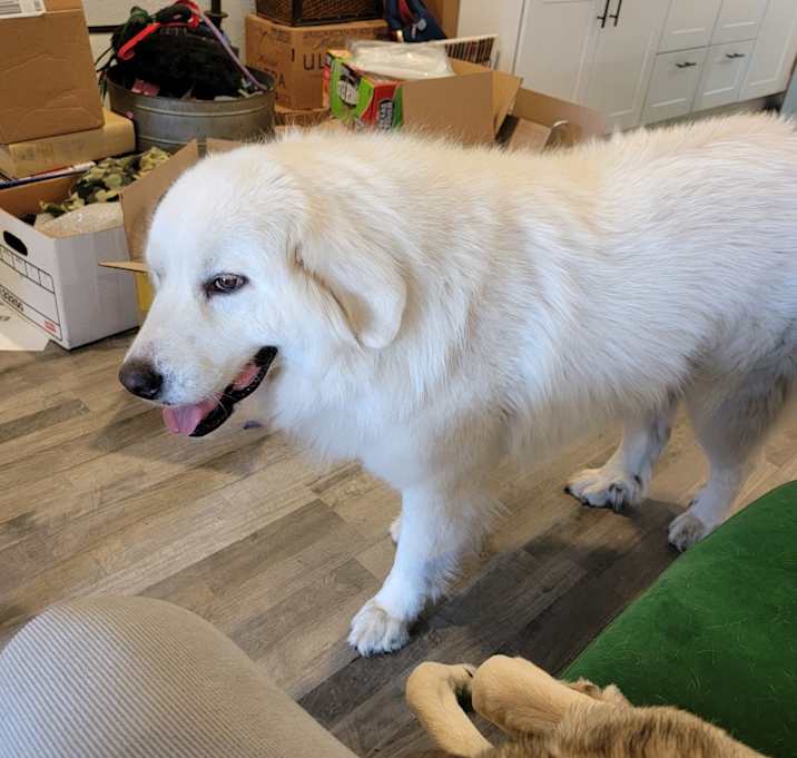 Photo of Butterball