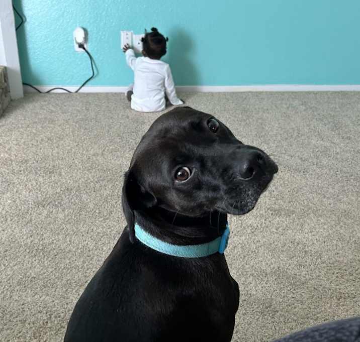 Photo of Layla