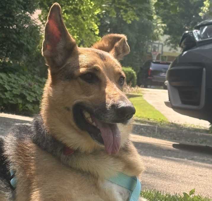 Photo of Joy