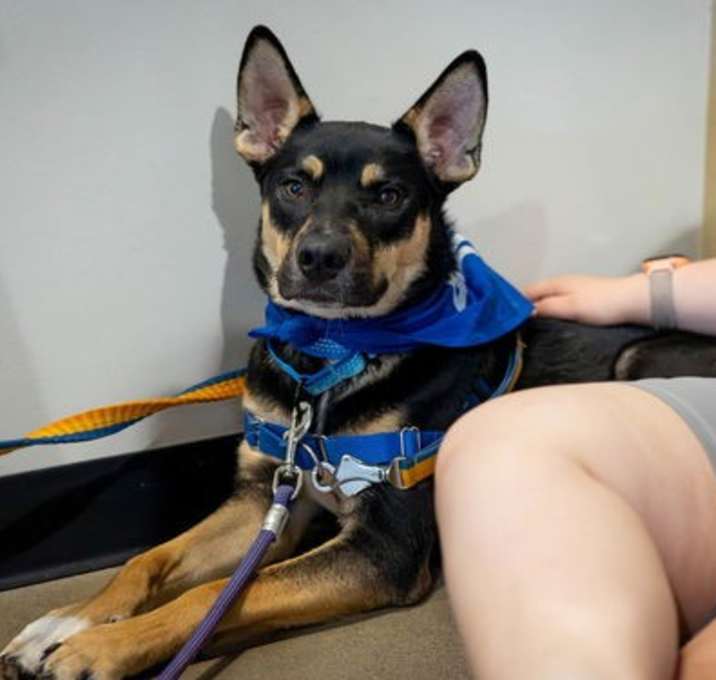 Photo of Sprout