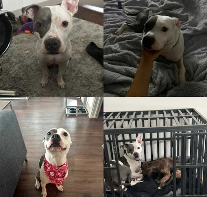 Photo of Hendrix aka henny