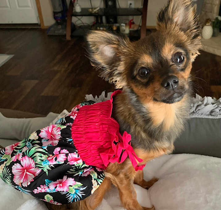 Photo of Olivia