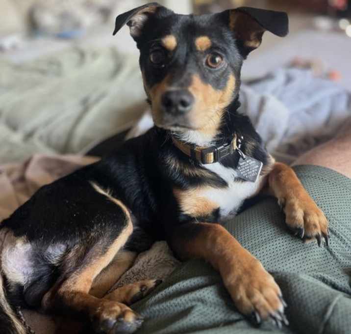 Photo of Snoop