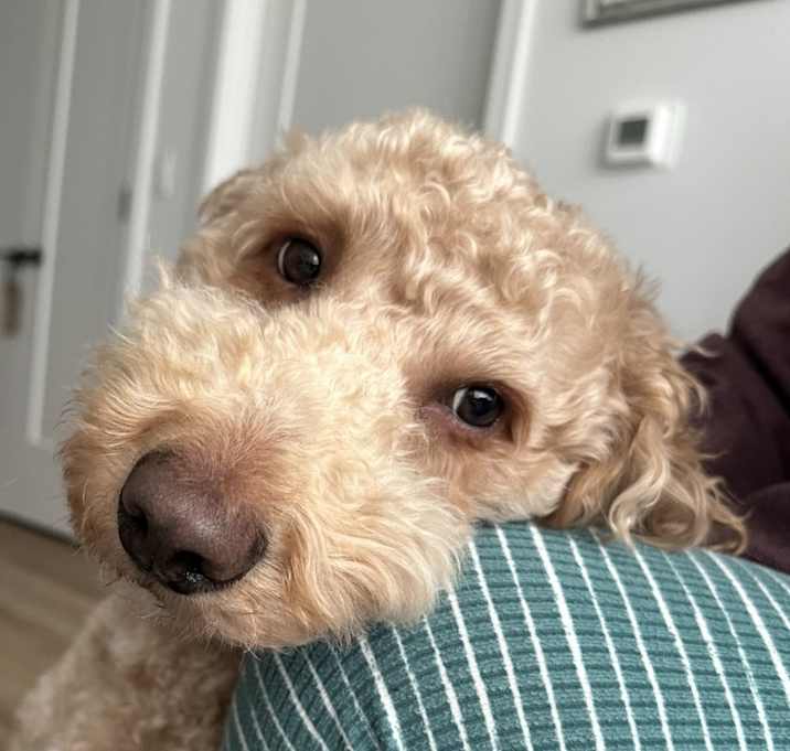 Photo of Oakley