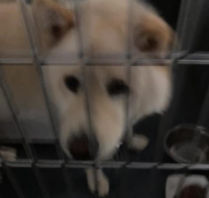 Photo of MAX