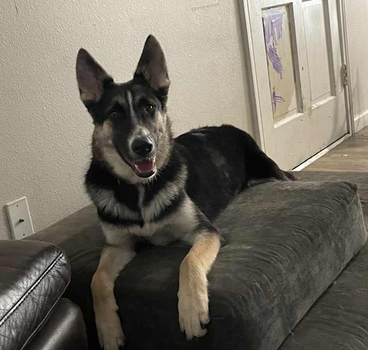 Photo of Trooper
