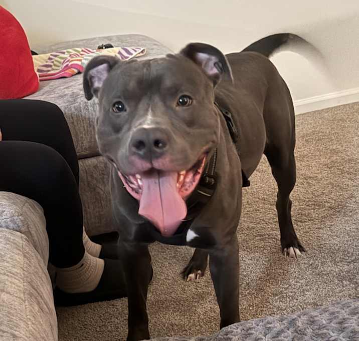 Photo of Caine