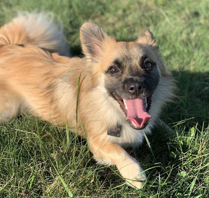 Photo of Marlo