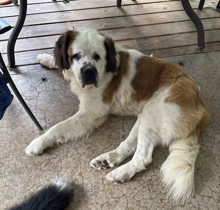 Photo of Benny