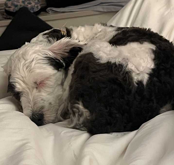 Photo of Peggy