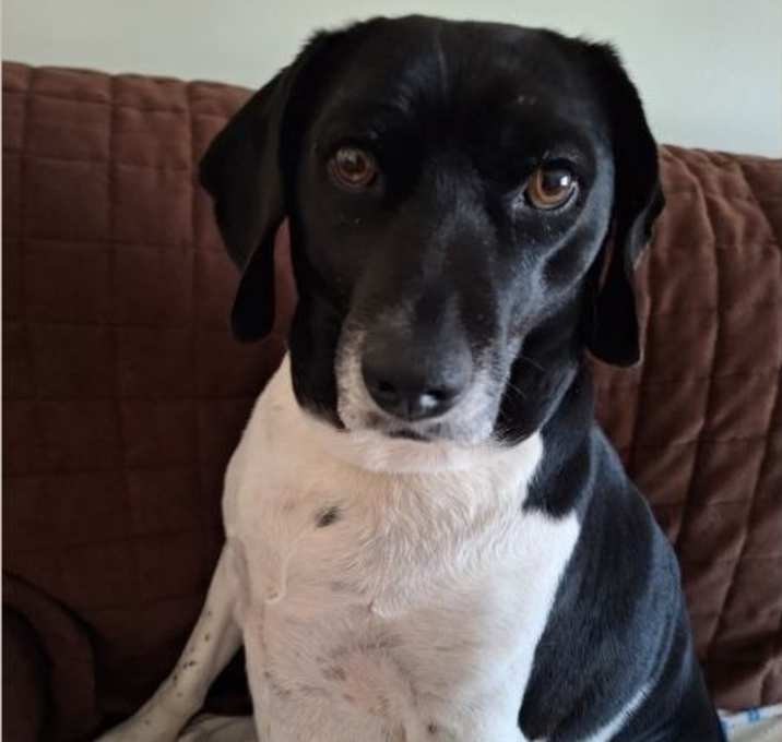 Photo of Molly