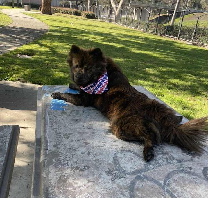 Photo of Kiki