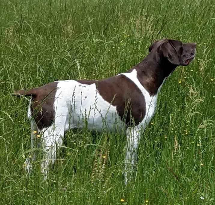 Photo of Evie