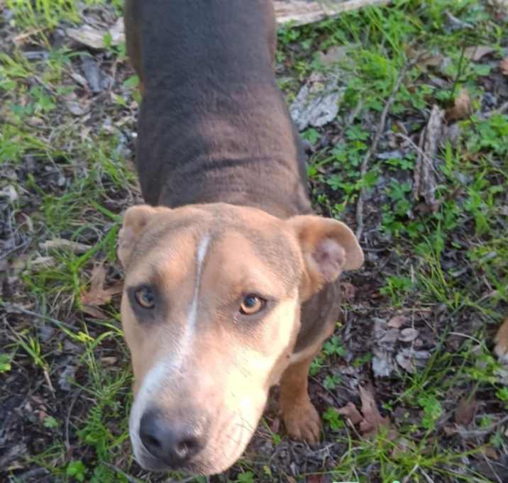 Photo of Twister