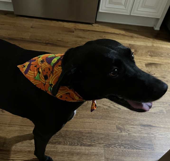 Photo of Charlie