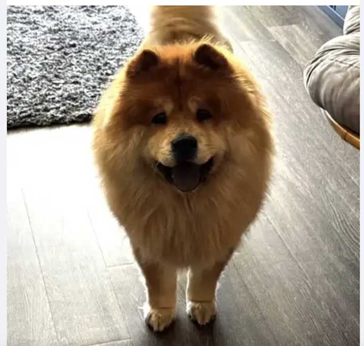 Photo of Seiji