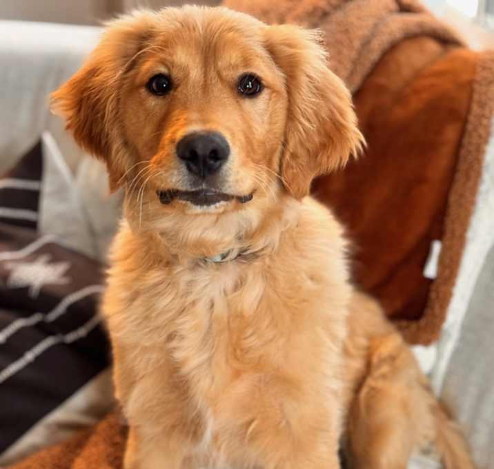 Photo of Charlie
