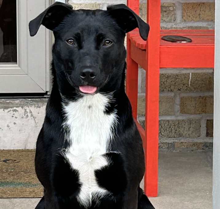 Photo of Echo