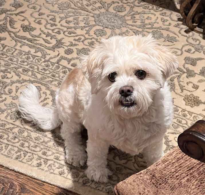 Photo of Charlie