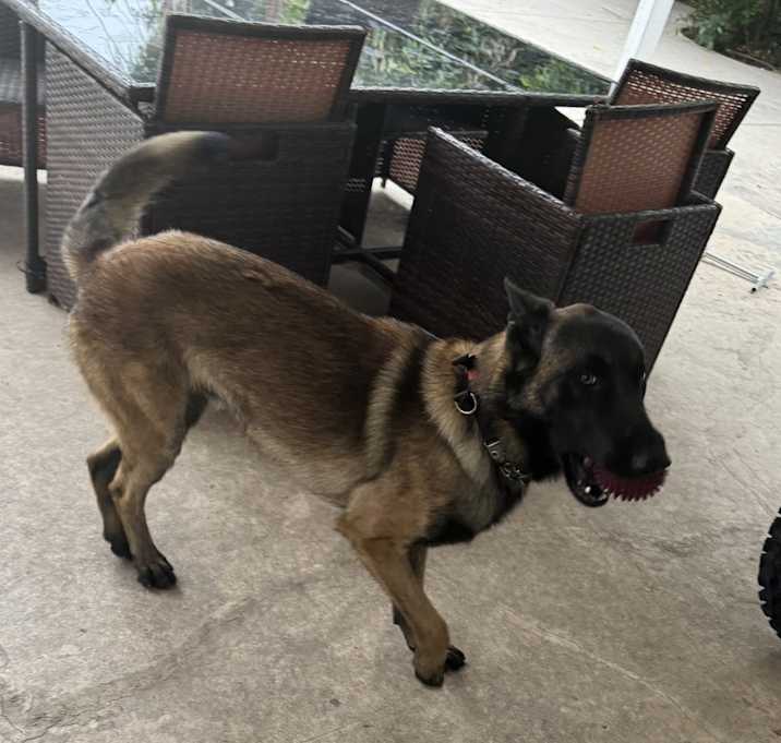 Photo of Ace