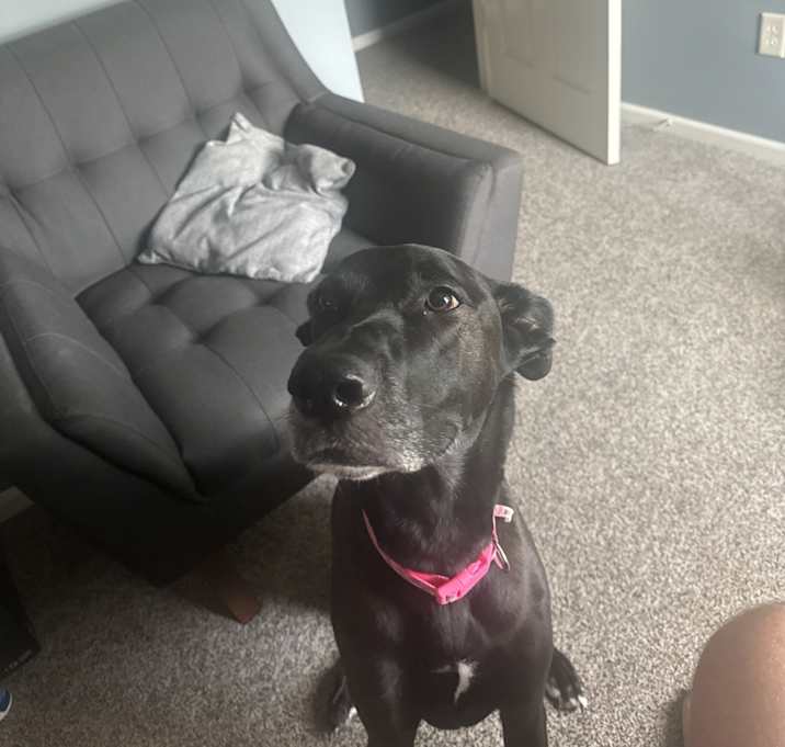 Photo of Lila
