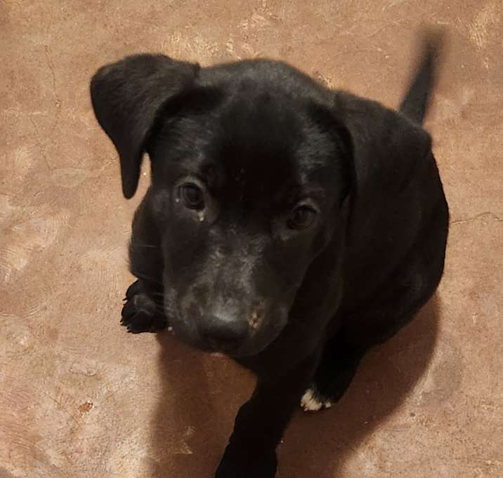 Photo of Indy